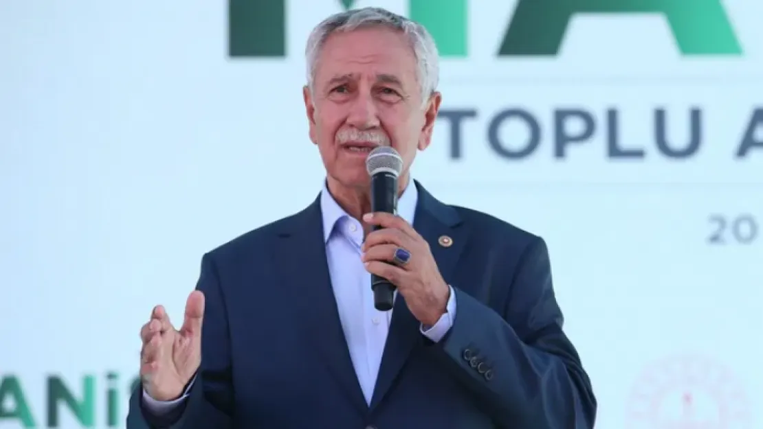 Arınç: Kendimi muhalif olarak nitelendirmiyorum