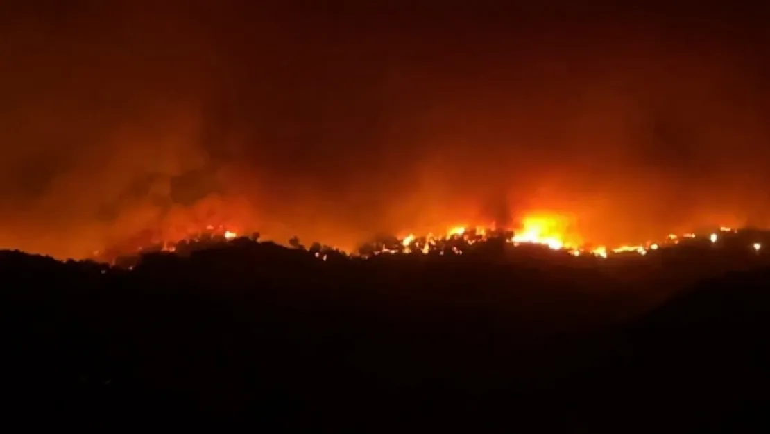 Çanakkale'de orman yangını: 6 köy ve üniversite kampüsü tahliye edildi