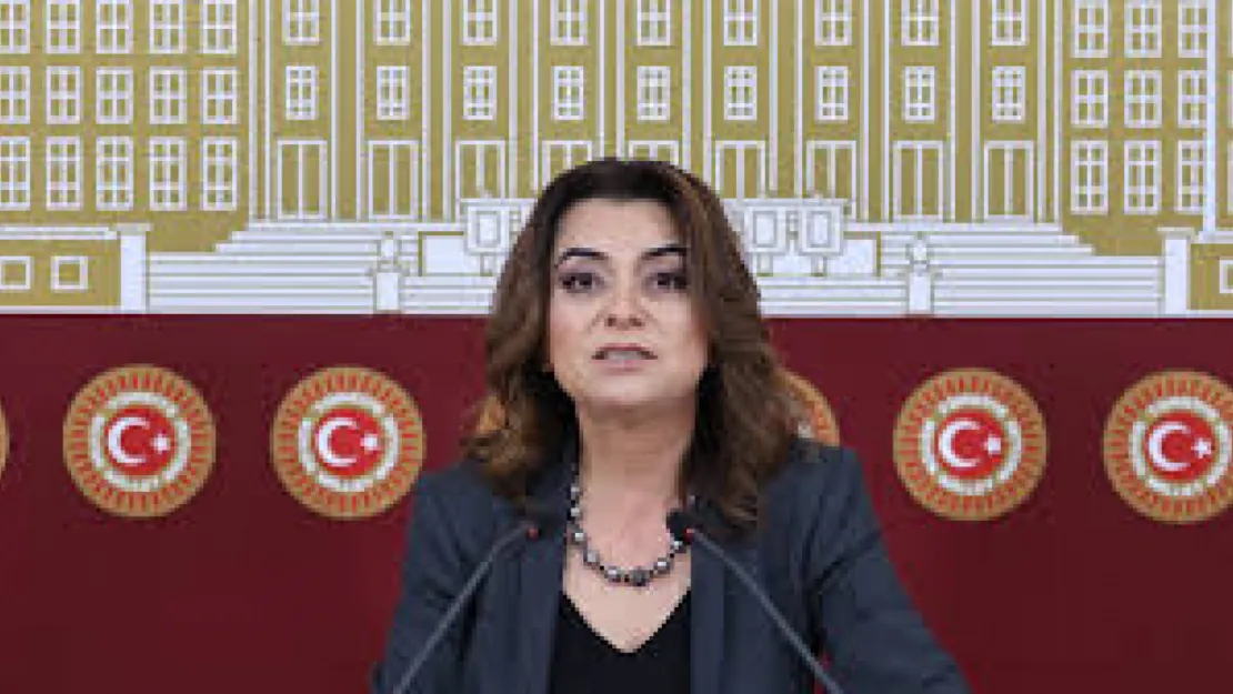 DEM: Sürecin 'Terörsüz Türkiye' diye adlandırılmasına şiddetle karşıyız
