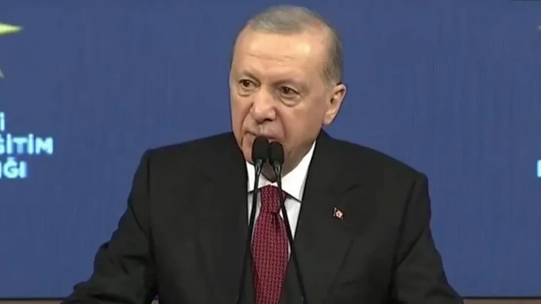 Erdoğan: Silah bırakma sürecini MİT izleyecek