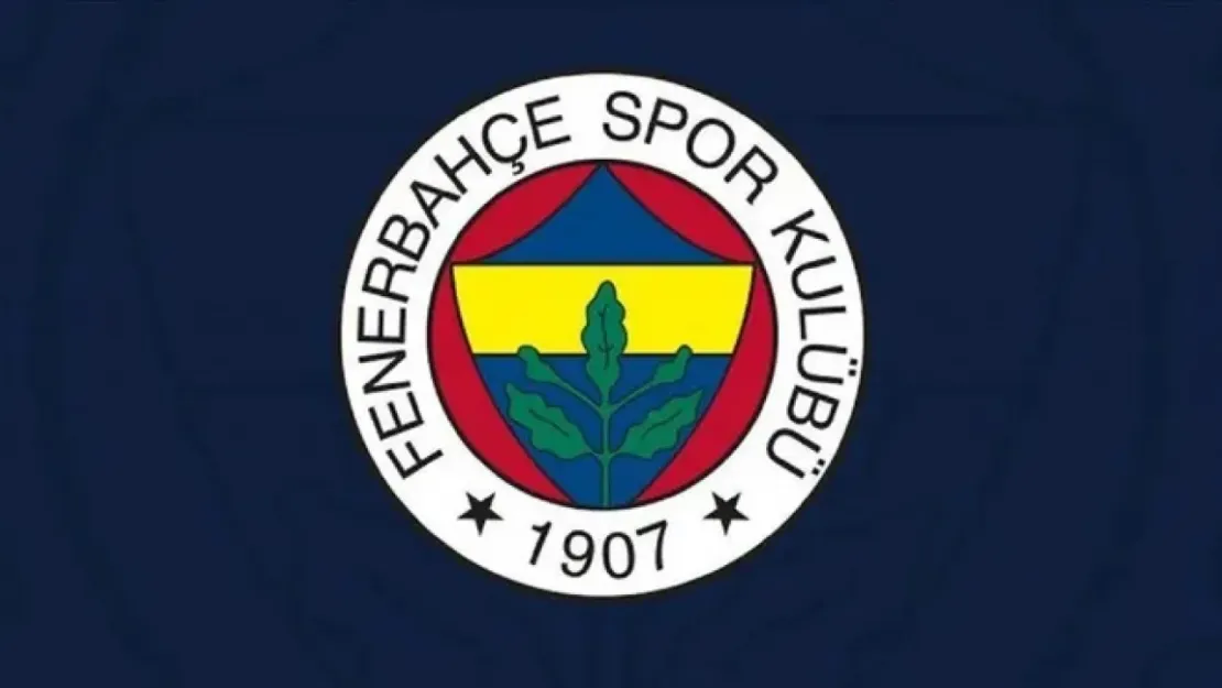 Fenerbahçe, Türkiye Kupası'na katılmayacak