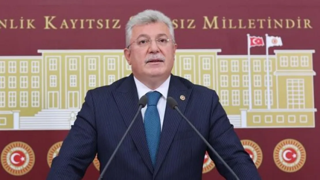'Türkiye'de hiçbir etnik sorun bulunmamaktadır'
