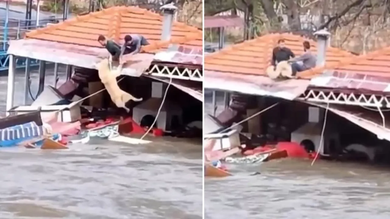 Alanya'da taşkın alarmı!