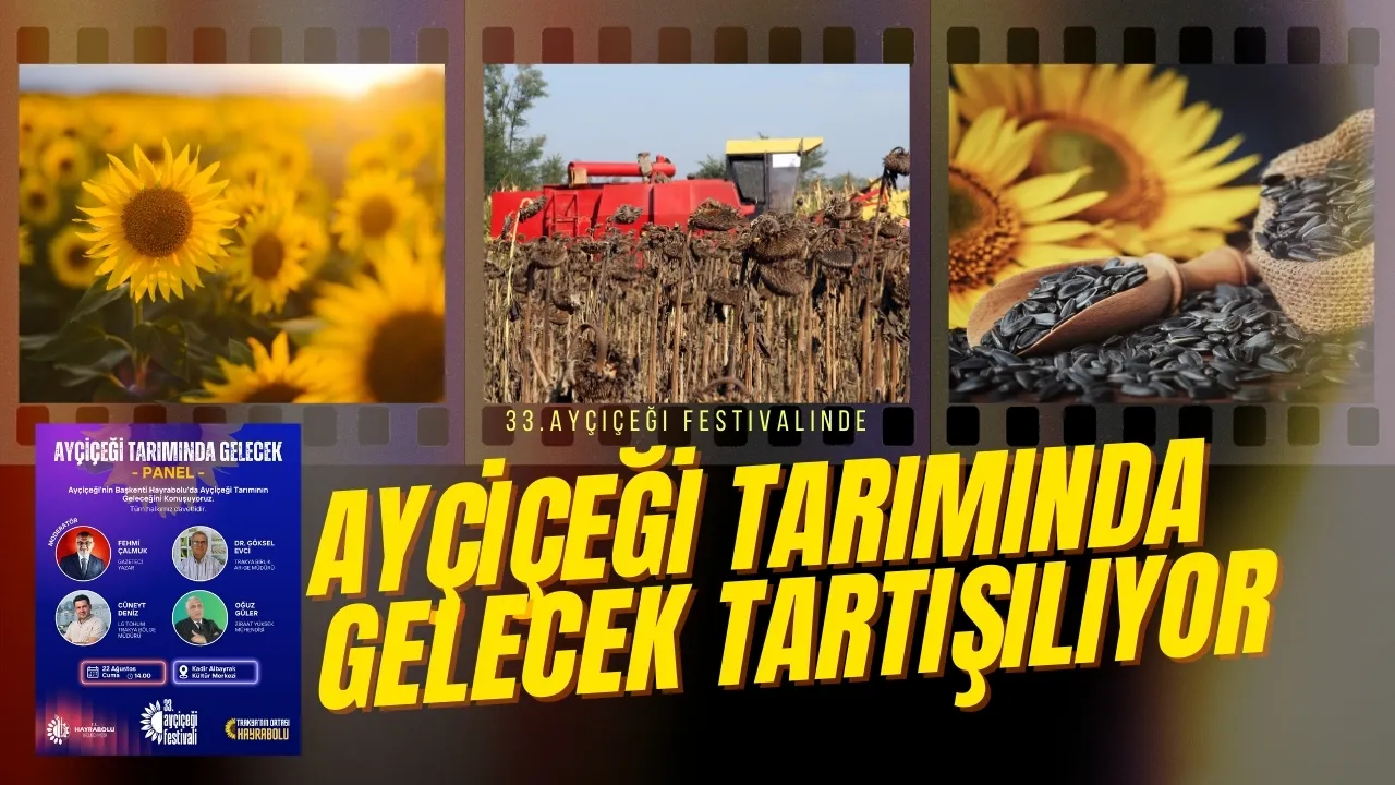 Ayçiçeği Tarımının Geleceği Hayrabolu’da Masaya Yatırılacak