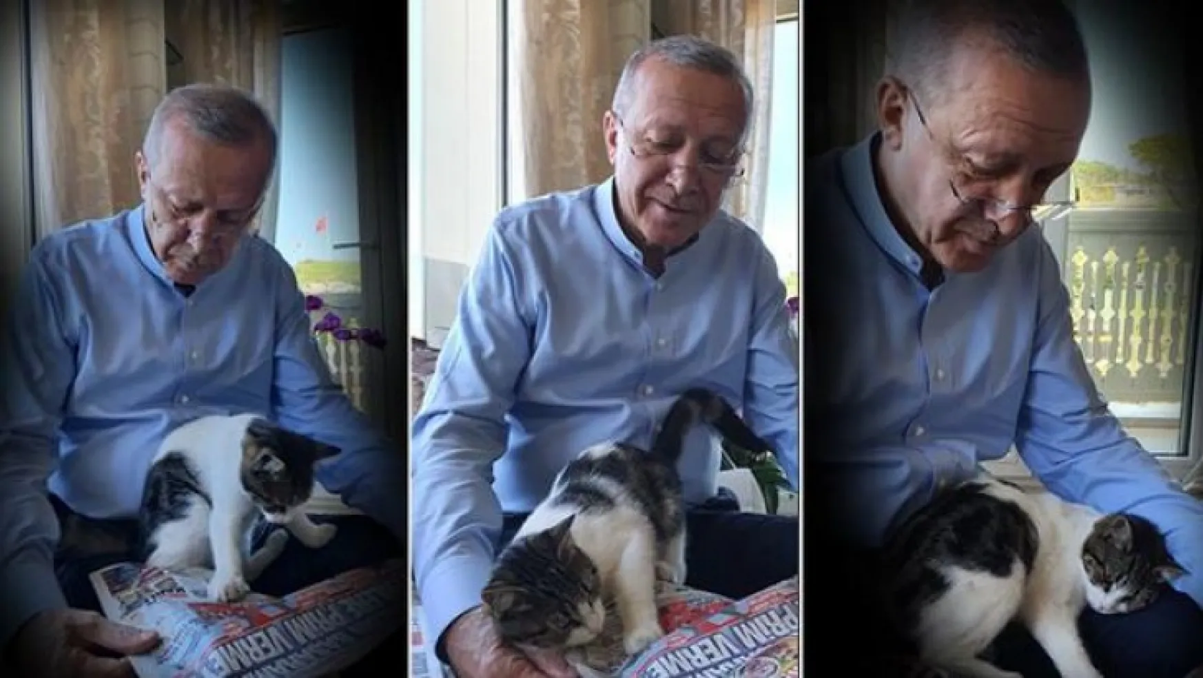 Erdoğan, torununun kedisiyle fotoğrafını paylaştı