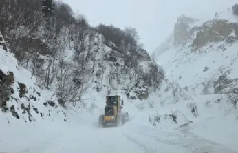 Artvin'de çığ düştü: Üç çoban aranıyor