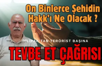 Öcalan'ın tevbesi kurtarır mı?