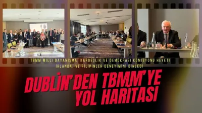 Dublin'den TBMM'ye Yol Haritası