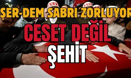 DEM'li Koçyiğit Özür Dileme Yerine İşin Harareti  Dedi