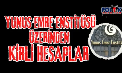 Yunus Emre Enstitüsü'nden Ne İstiyorlar