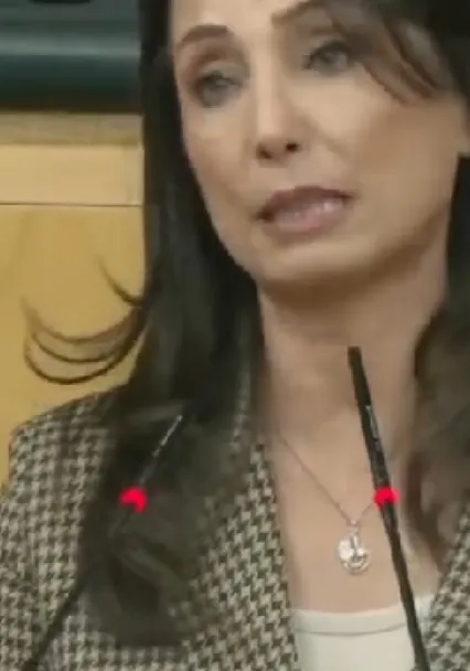 Hatimoğulları:  Devletin gittiği yere siyaset neden gitmesin?