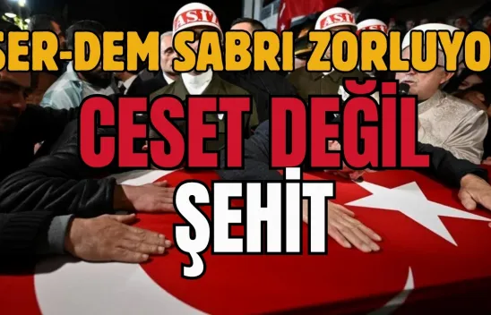 DEM'li Koçyiğit Özür Dileme Yerine İşin Harareti  Dedi