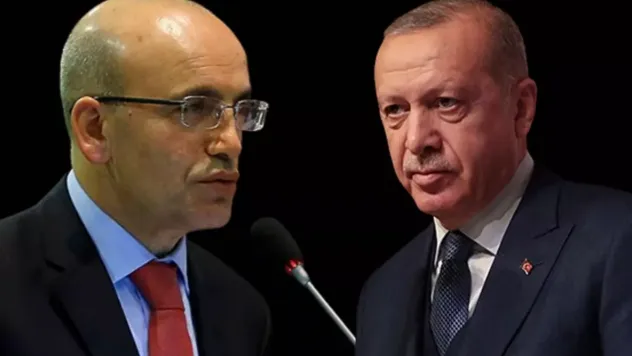Şimşek elektrik ve doğalgaza devlet katkısına karşıymış!