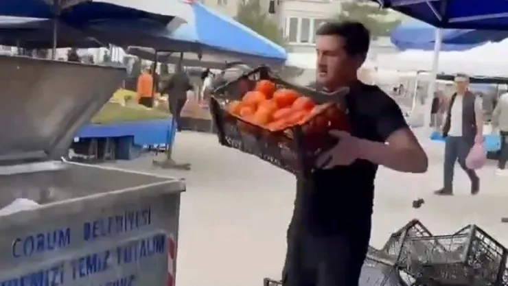 Domatesleri çöpe döken pazarcıya rekor para cezası