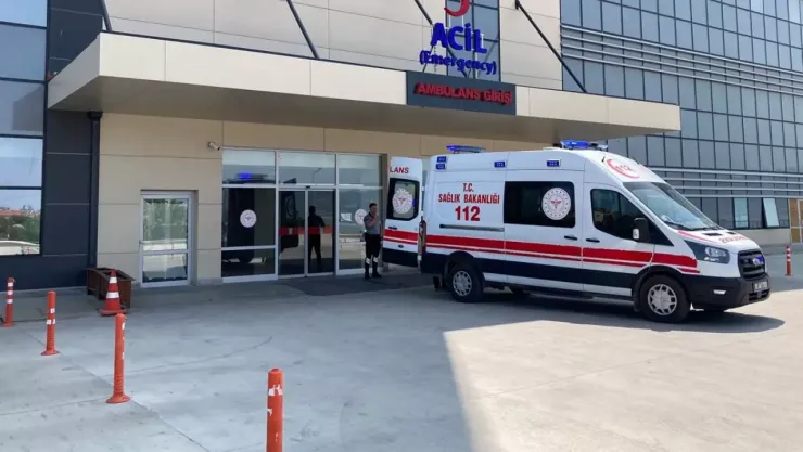 Muğla'da tavuktan zehirlenen 3 kardeşten biri öldü