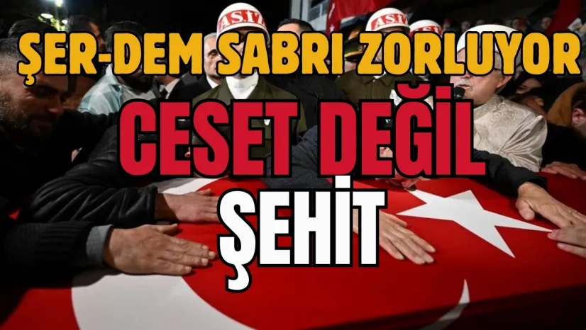 DEM'li Koçyiğit Özür Dileme Yerine İşin Harareti  Dedi