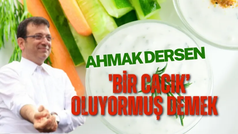 Ekrem İmamoğlu Ahmak Dedi, Yandı