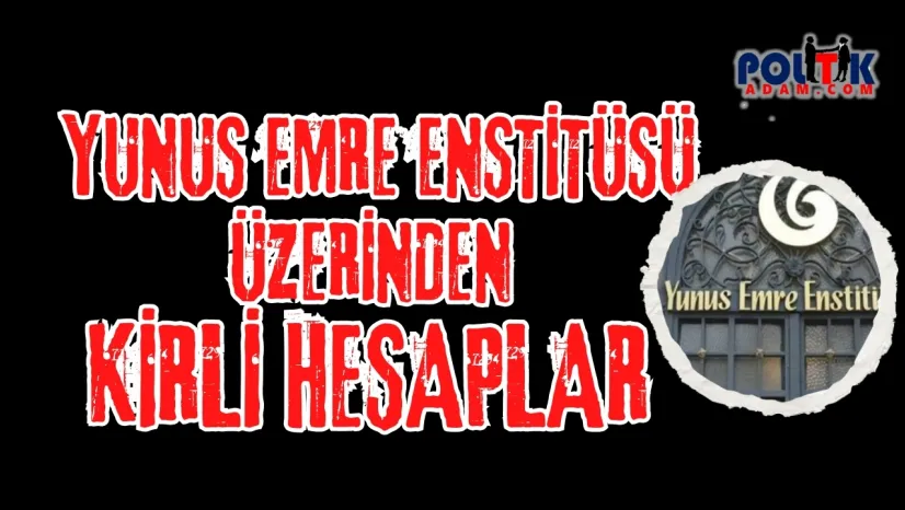 Yunus Emre Enstitüsü'nden Ne İstiyorlar